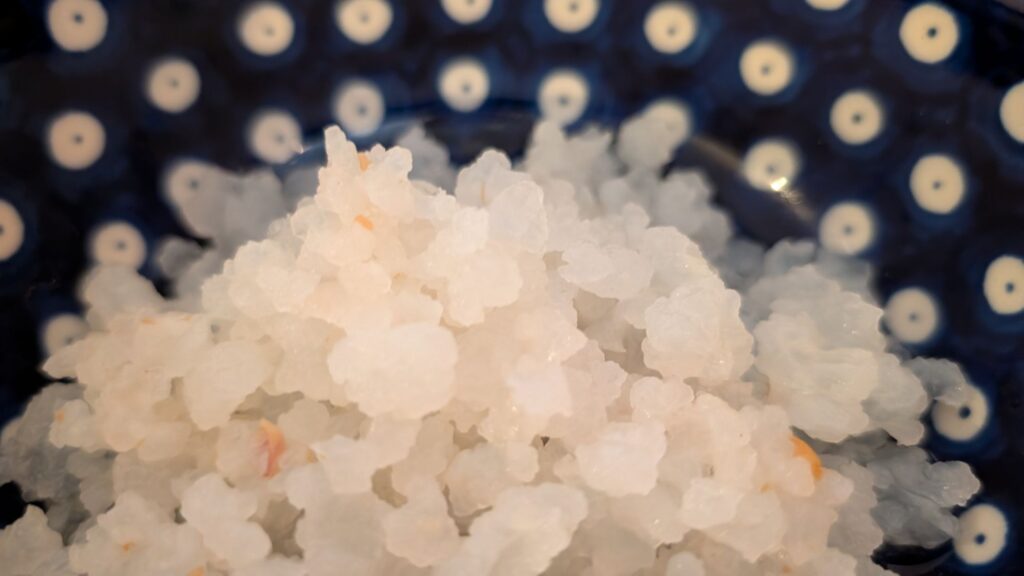 Wasserkefir