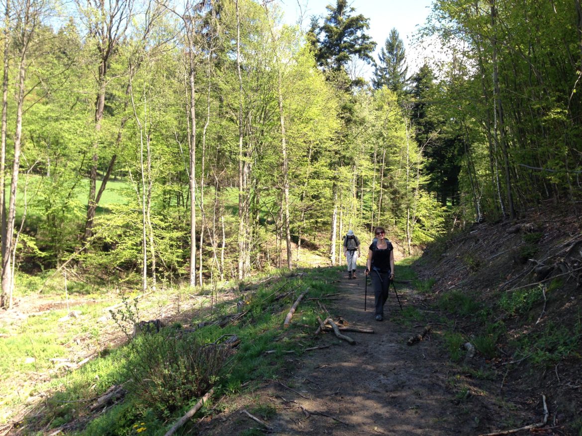 Foto 06.05.16, 11 06 11