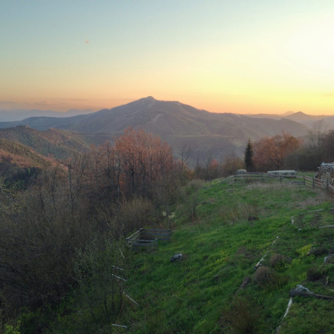 Foto 06.05.16, 19 57 58 (2)