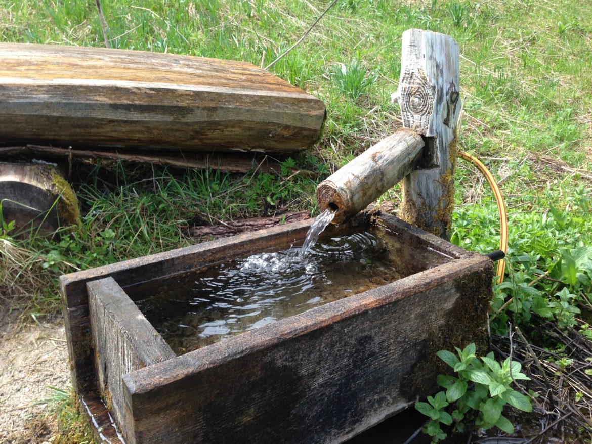 Foto 08.05.16, 14 08 19