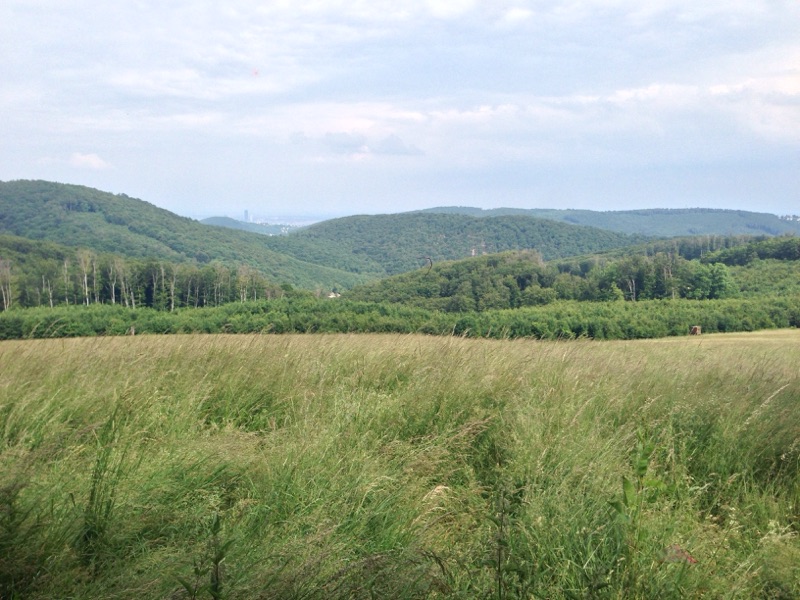 Ausblick von der Franz Karl-Fernsicht. Ausblick von der Franz Karl-Fernsicht.