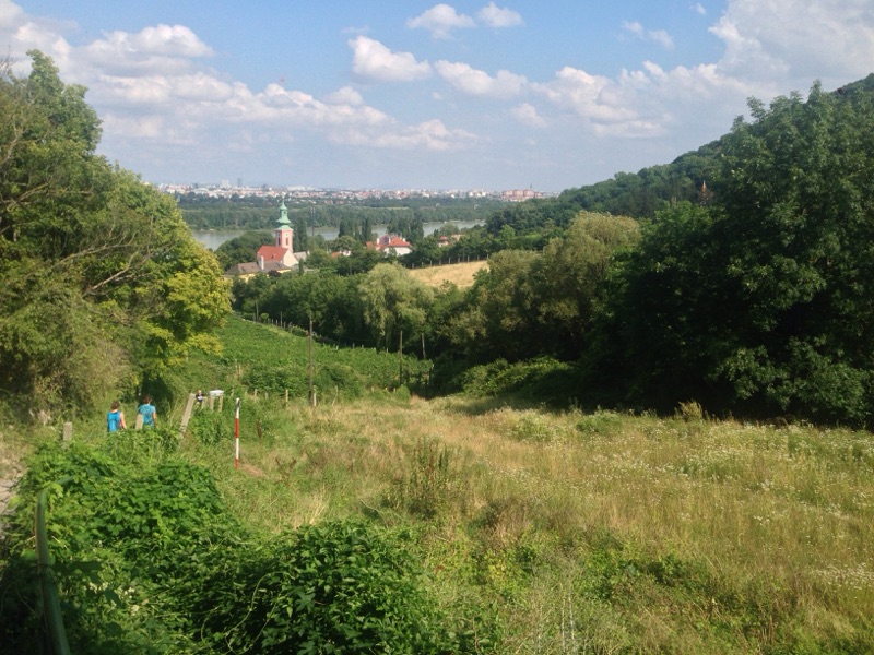 1322270984_1469369590824 Der Stadtwanderweg 1a.