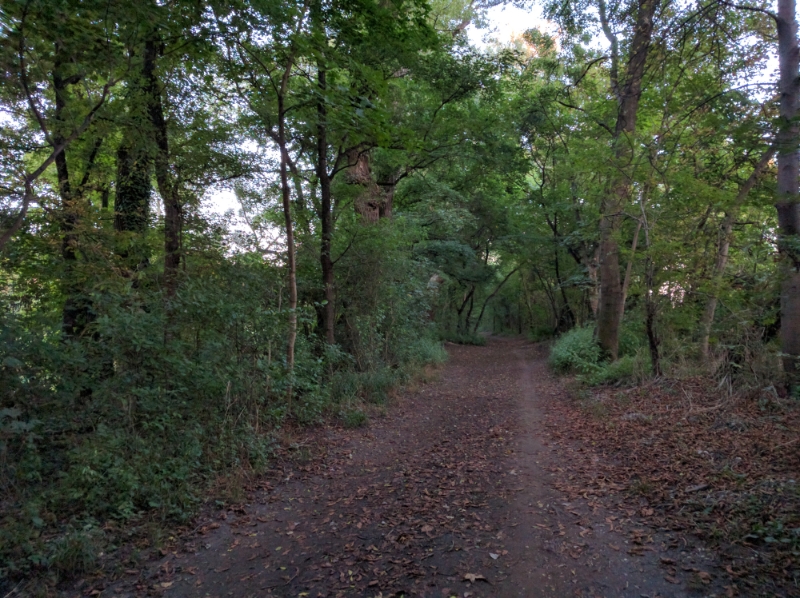 Wien: Stadtwanderweg 9 (Prater)