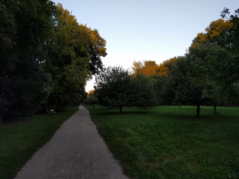 Wien: Stadtwanderweg 9 (Prater)