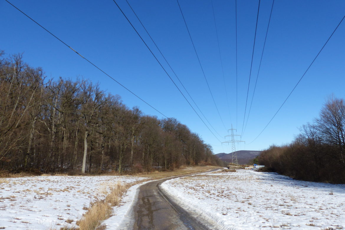Unrundung des Lainzer Tiergarten Unrundung des Lainzer Tiergarten