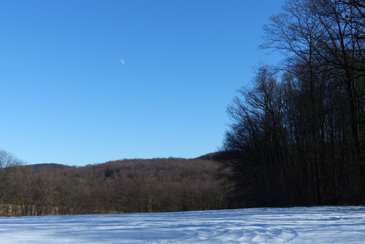 Unrundung des Lainzer Tiergarten Unrundung des Lainzer Tiergarten