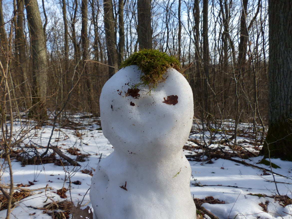 Unrundung des Lainzer Tiergarten Unrundung des Lainzer Tiergarten