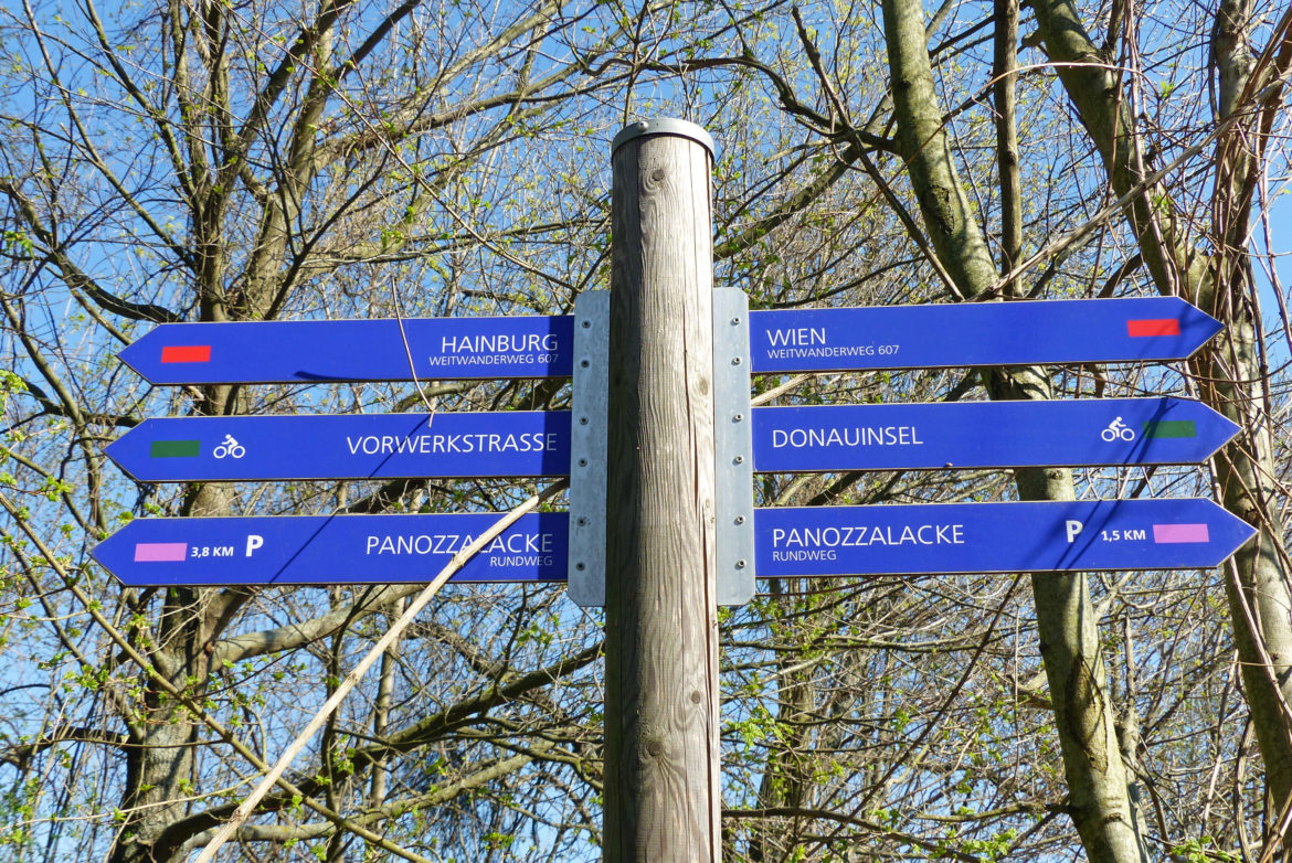 P1130553_bearbeitet-1