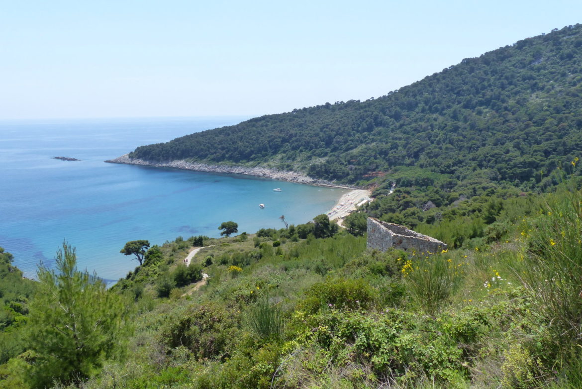Wandern auf Lopud Wandern auf Lopud