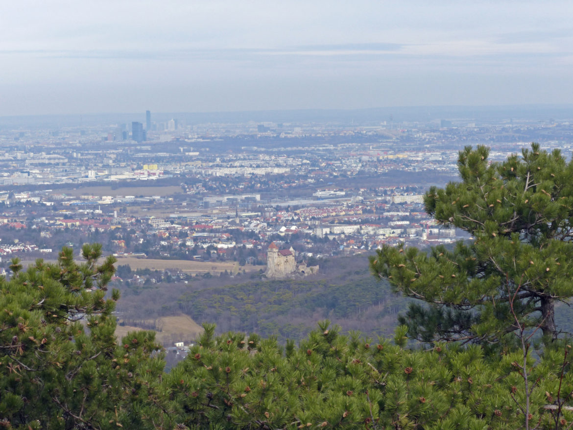 wanderung-anninger (2)