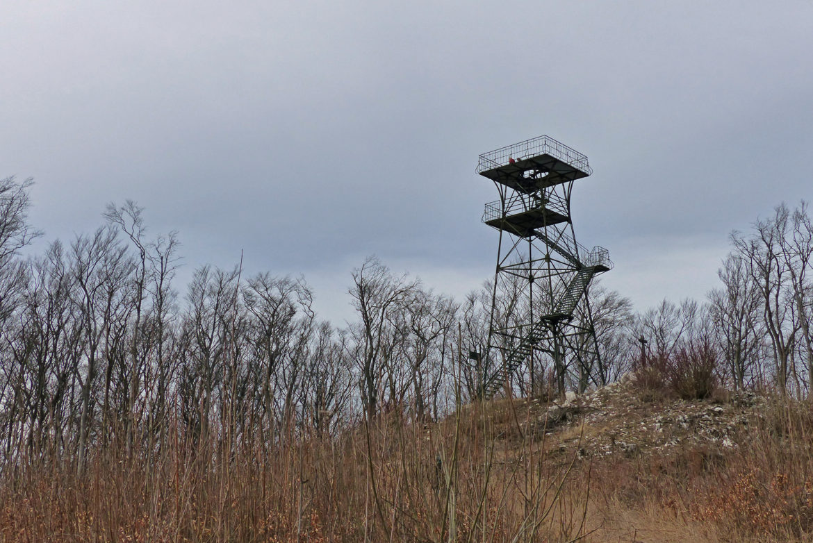 wanderung-anninger (6)