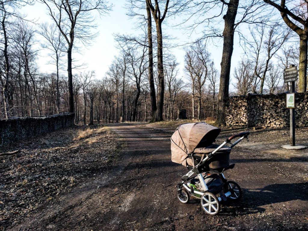 Mit Kinderwagen im Lainzer Tiergarten.