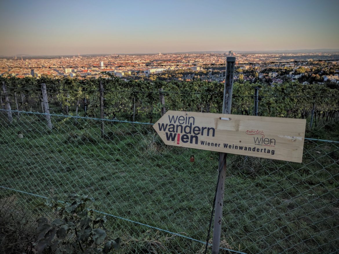 weinwandern.jpg