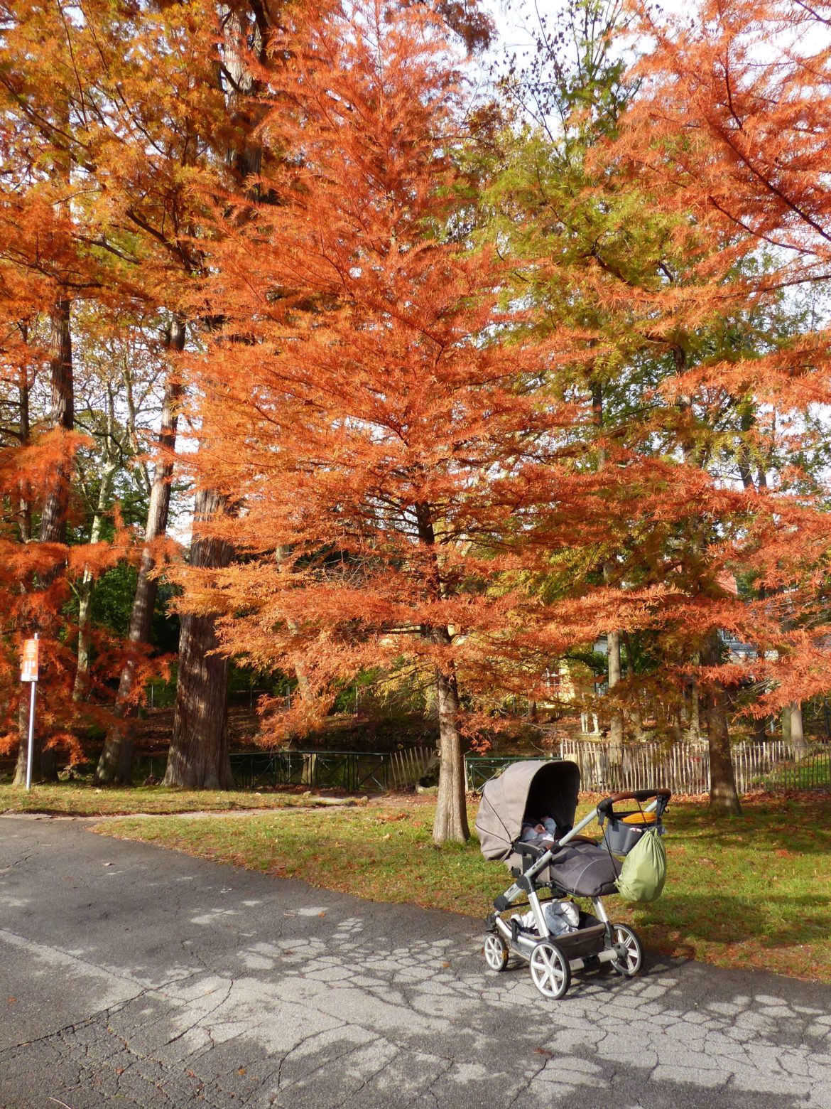 Schlosspark Pötzleinsdorf
